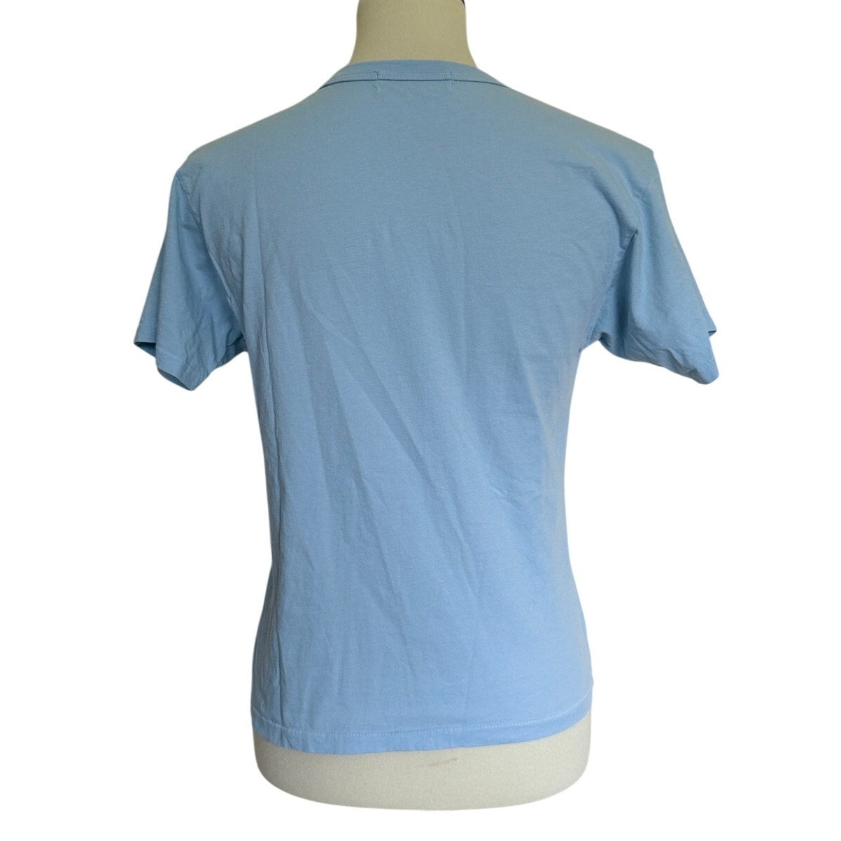 Daydreamer Cin Cin Ringer Tee - Powder Blue - Small