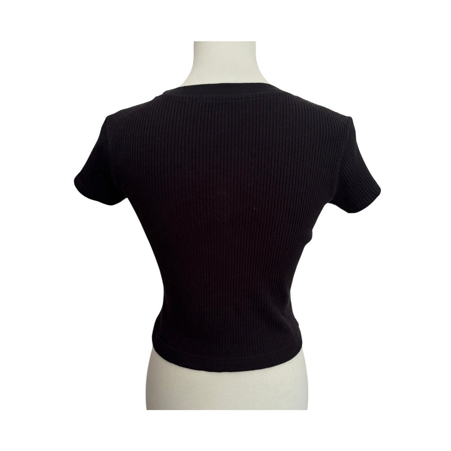PERFECTWHITETEE Gabby Sweater Rib Short Sleeve Top