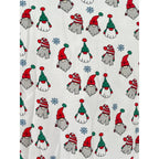 Roller Rabbit Gnoels Holiday Kids Pajama Set - Red / White / Green - Size 8